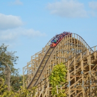 CC7